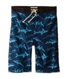 Appaman Kids - Elastic Wait And Lined Swim Trunks With Shark Print Design