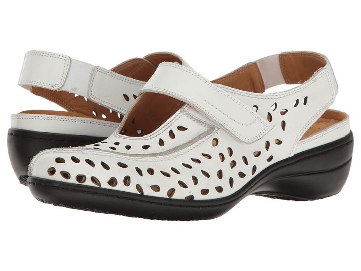 Spring Step - Fogo