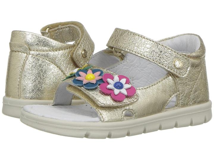 Naturino - Falcotto 1708 Ss18