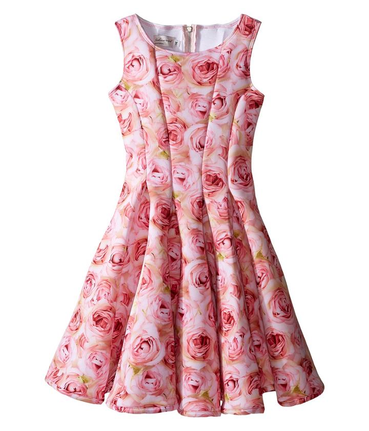 Fiveloaves Twofish - A Dozen Roses Fit N Flare Dress