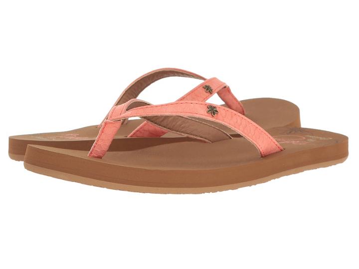 Cobian - Hanalei