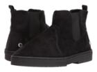 Steve Madden - Pclinton