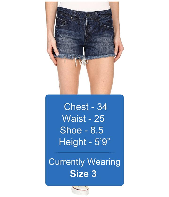 Volcom - Stoned Shorts 3