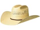 Ariat - Shantung 20x Americana
