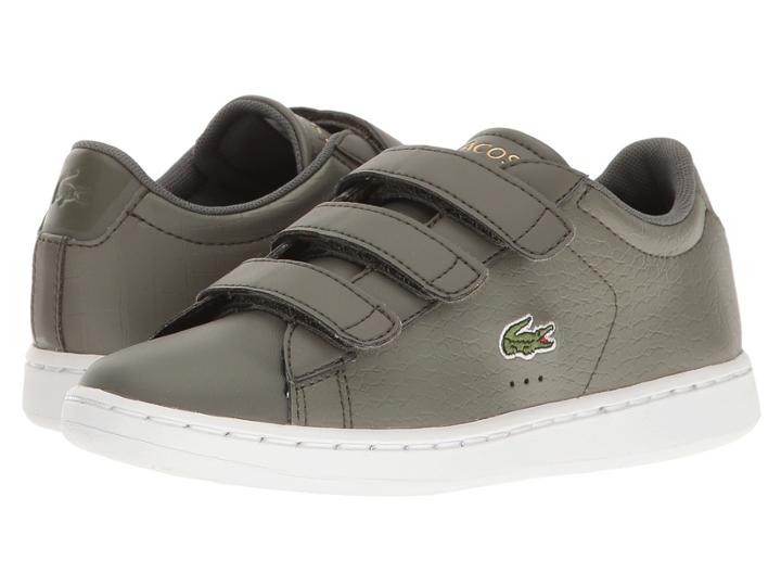 Lacoste Kids - Carnaby Evo G117 3 Spc