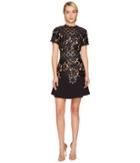 The Kooples - Short Sleeve Dress With Lace Detail On The Top And Waist