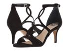 Vince Camuto - Payto