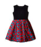 Oscar De La Renta - Poppies Party Dress