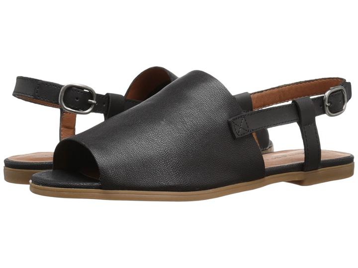 Lucky Brand - Campbell