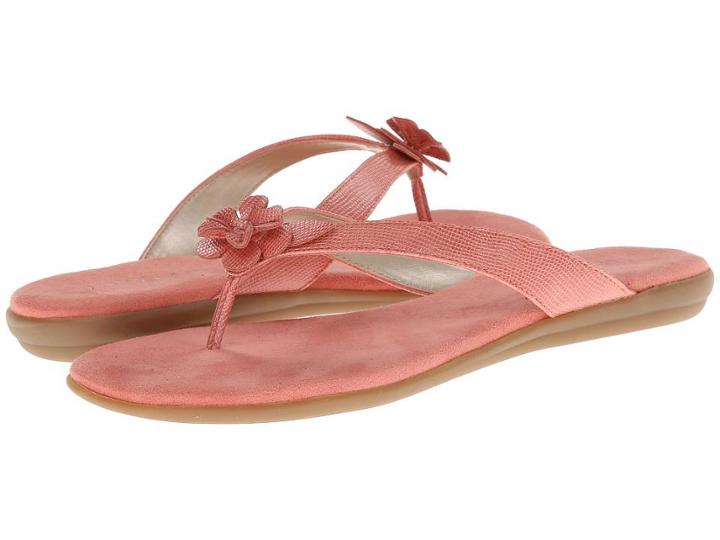 Aerosoles Branchlet