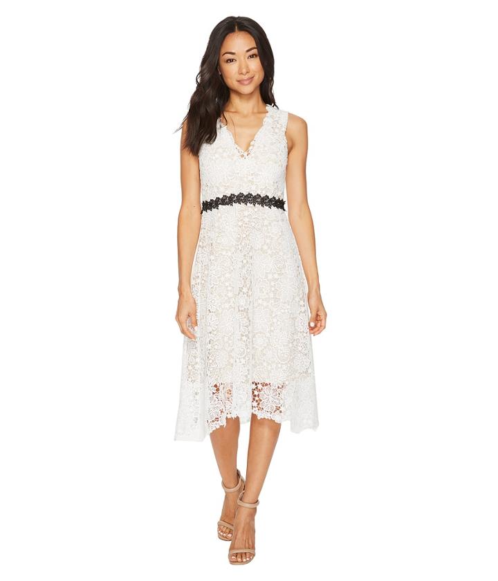 Donna Morgan - Sleeveless Lace V-neck Fit And Flare With Waist Detail