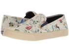 Sperry - Seaside Novelty