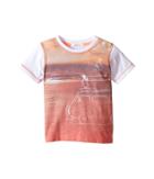 Pumpkin Patch Kids - Turtle Van Tee