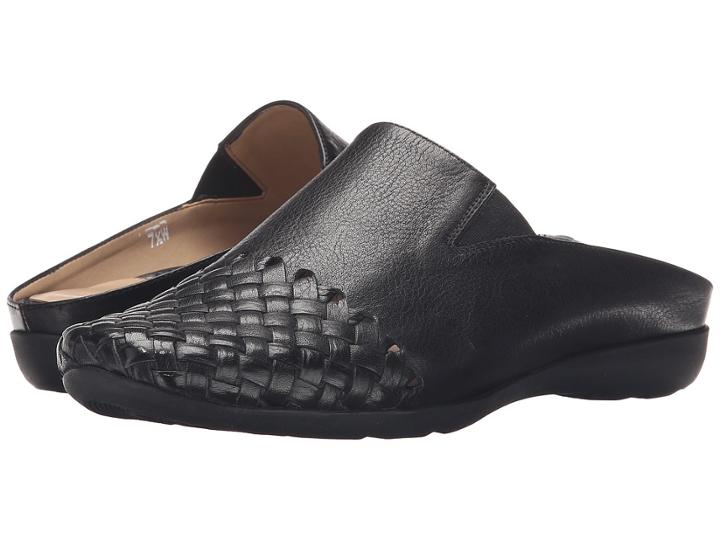 Sesto Meucci - Gwyne