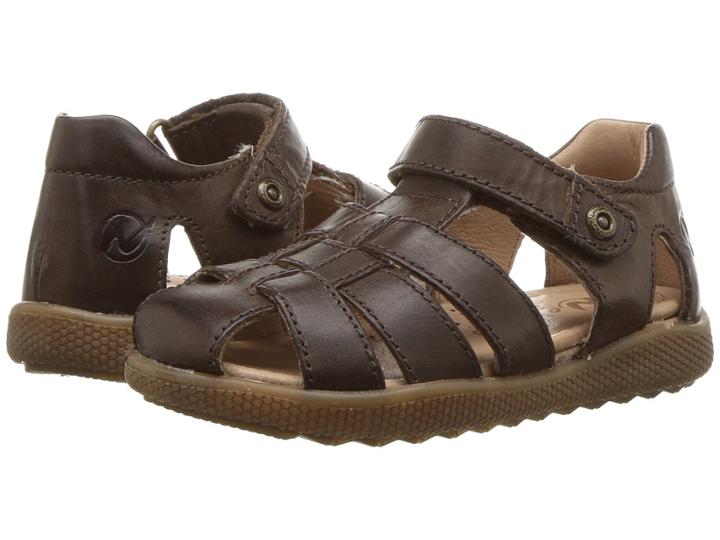 Naturino - Gene Ss18