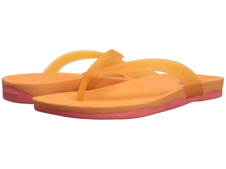 Native Shoes - Paolo