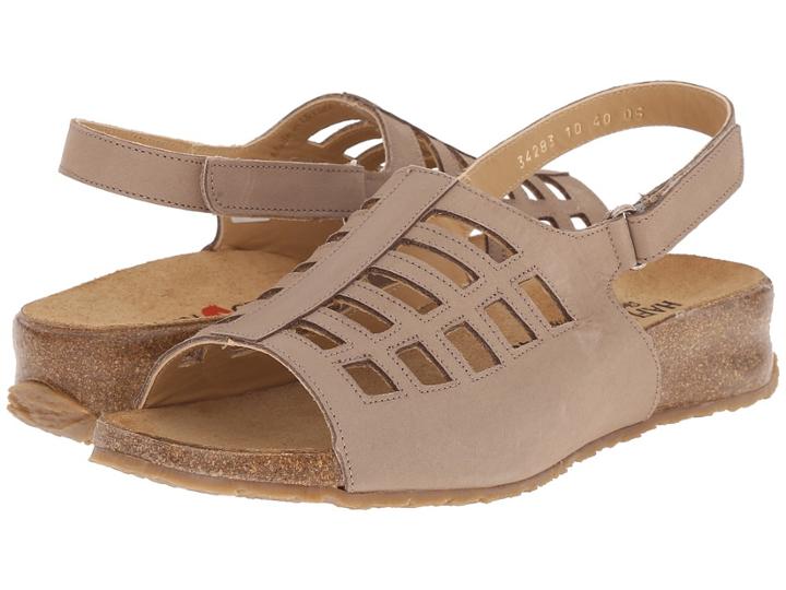 Haflinger - Morgan