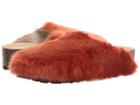 Spring Step - Peluchey