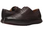 Sebago - Smyth Wing Tip
