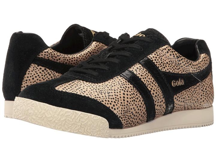 Gola - Harrier Safari