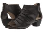 Spring Step - Avidra