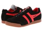 Gola Harrier