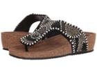 Spring Step - Lachlana