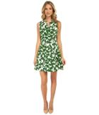 Kate Spade New York - Garden Leaves Pique A-line Dress