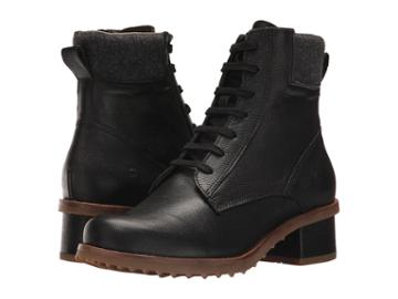 El Naturalista - Kentia N5105