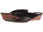 Bernardo - Miami Fringe Wedge