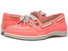 Sperry Top-sider - Firefish Ripstop Canvas