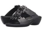 Spring Step - Loredana