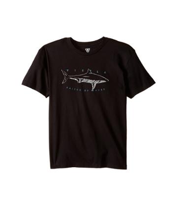 Vissla Kids - Shark T-shirt