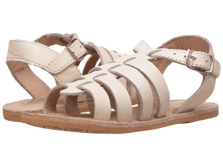 Old Soles - Safari