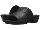 Walking Cradles - Cape