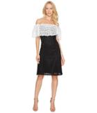 Tahari By Asl - Lace Combo Cold Shoulder Dress