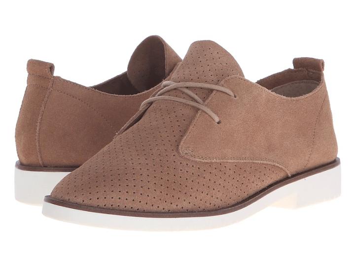 Steve Madden - Tripit