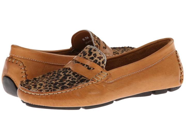 Massimo Matteo Penny With Cheeta Vamp