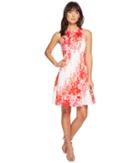 Maggy London - Shadow Garden Flower Cotton Sateen Fit Flare