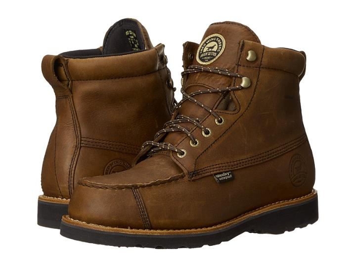Irish Setter - Wingshooter 807