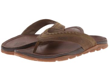 Chaco Finn