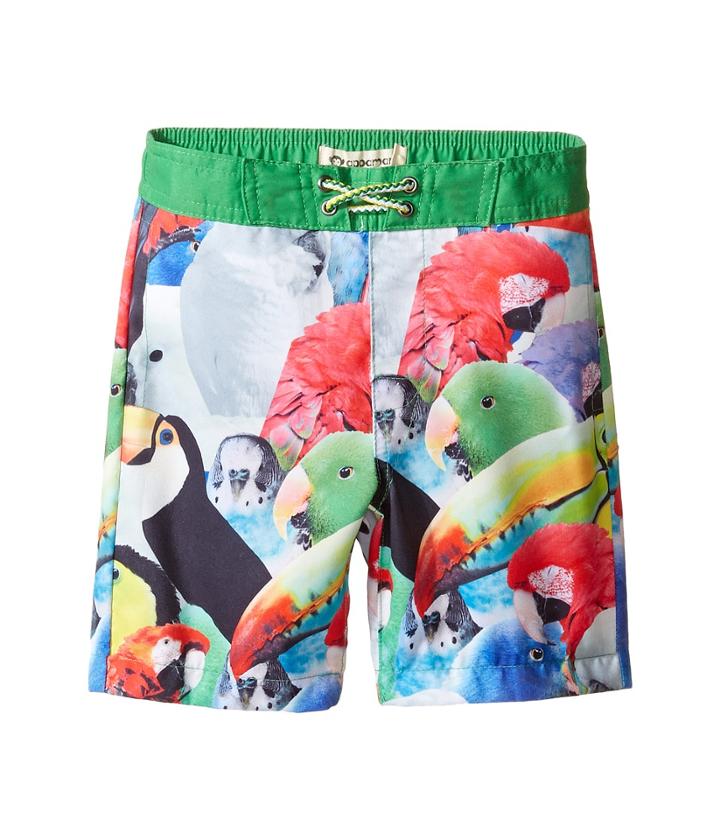 Appaman Kids - Parrot Pattern Swim Trunks
