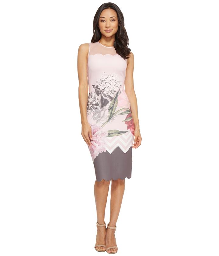 Ted Baker - Arionah Palace Gardens Scallop Bodycon Dress