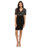 Adrianna Papell - Banded And Lace V-neck Sheath
