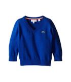 Lacoste Kids - 100% Cotton V-neck Sweater