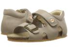 Naturino - Falcotto 1406 Ss17