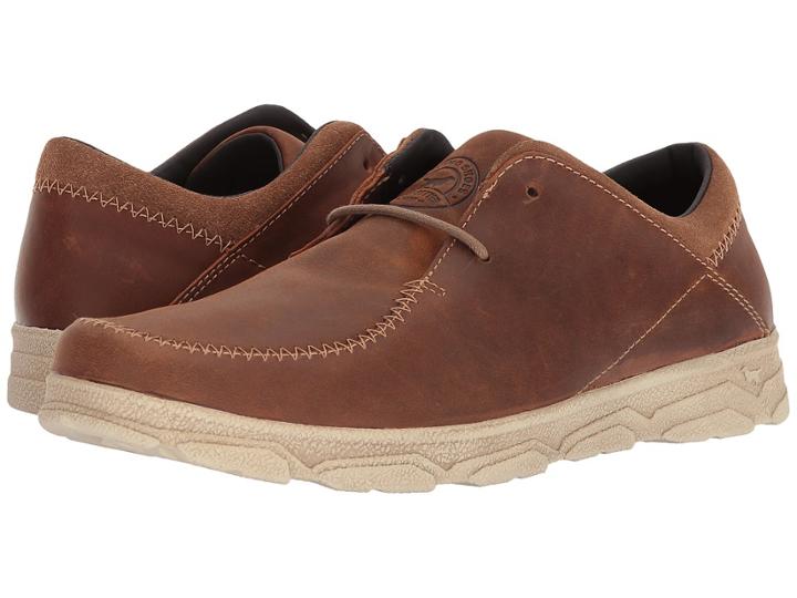 Irish Setter - Traveler Series 03804