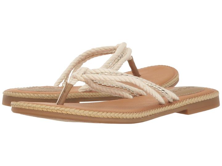 Sperry Top-sider - Anchor Coy