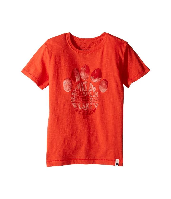 Lucky Brand Kids - Paw Print Tee