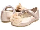 Pazitos - Silk Rose Mj Pu
